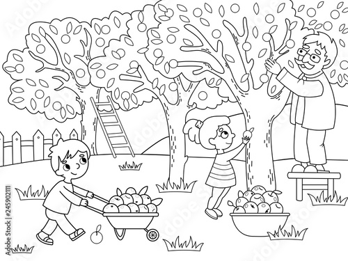 Kids cartoon on the theme of harvest vector. Coloring and black and white coloring.