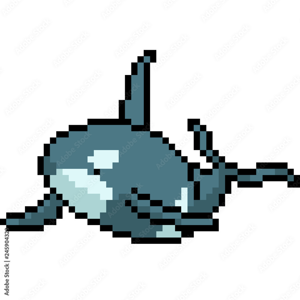 vector pixel art killer whale