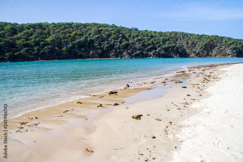 Obraz premium Pambula river estuary