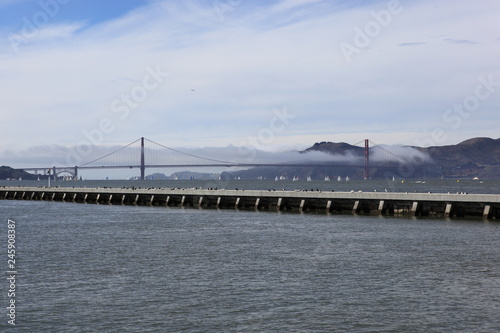 Wallpaper Mural Golden gate dans la brume du matin Torontodigital.ca