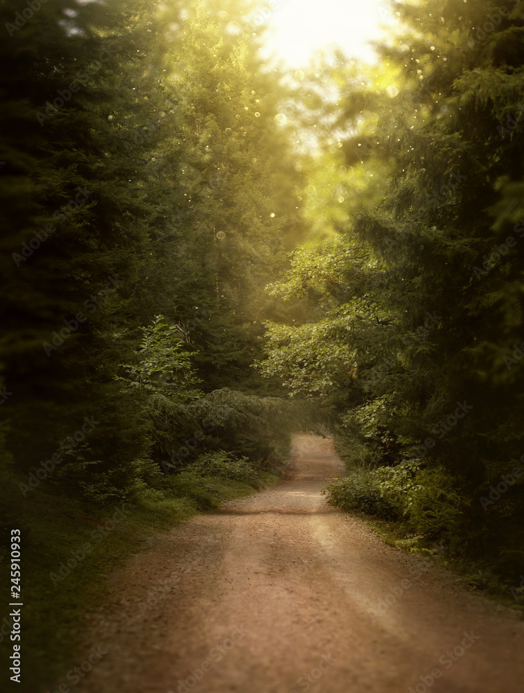 Obraz premium magnificent nature of Georgia and Armenia, a mysterious path leads to depths of forest, bright sunny rally illuminates road, glare of sunlight shines on camera, green and yellow warm colors