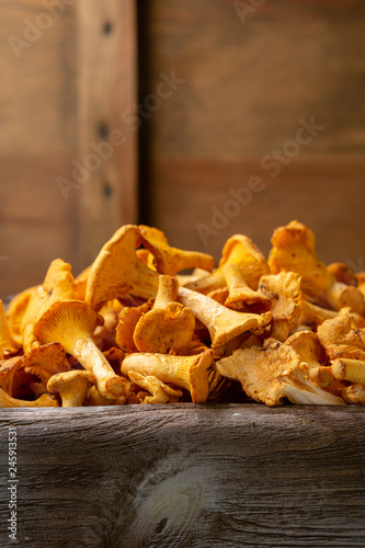 Fresh mushrooms wooden background