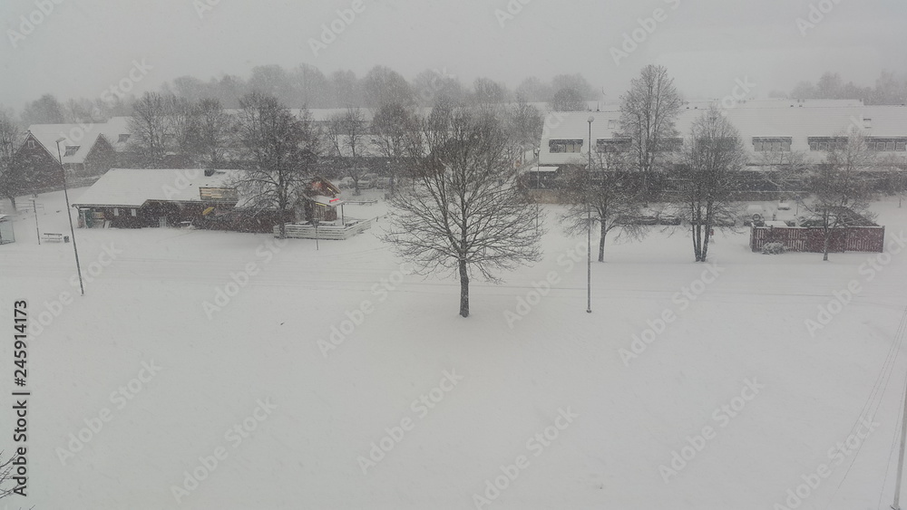 Heavy snow tree and buildings