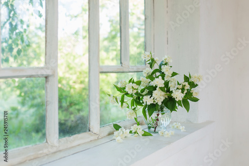 jasmine in vase on windowsill