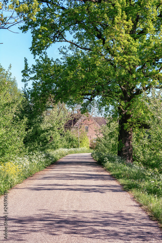 Farm located on the famous Appeldijk in the Betuwe with blossoming apple trees on both sides of the Dijk