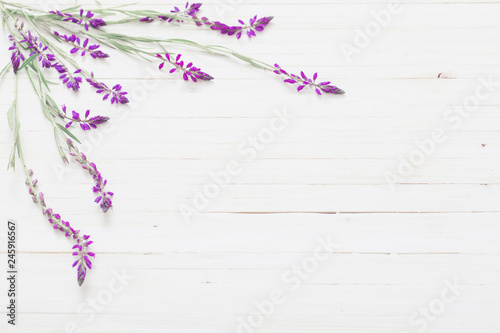flowers on white wooden background