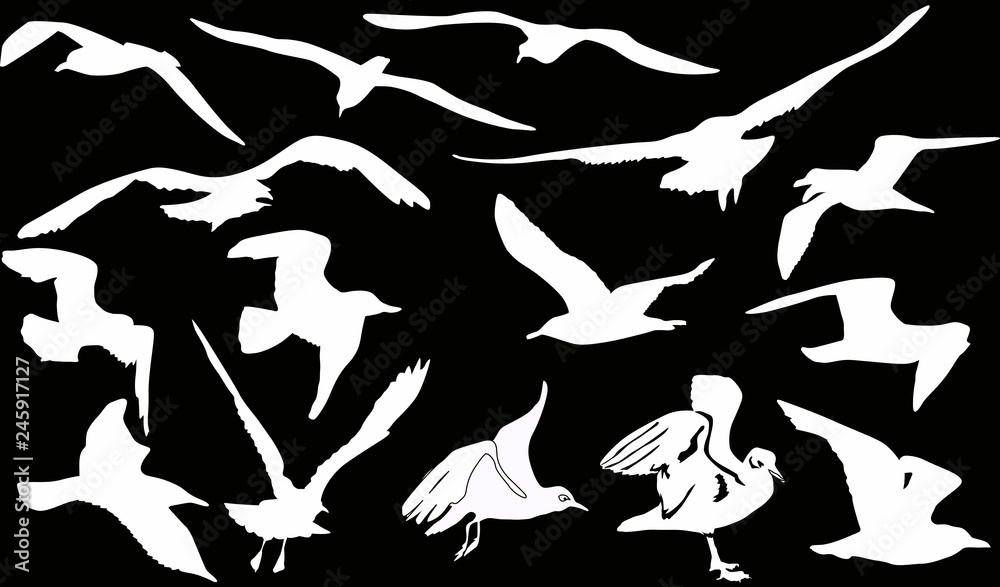 fifteen gulls silhouettes on black background fifteen gulls silhouettes on black background