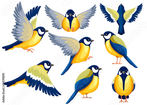 Colorful Icon set of Titmouse bird . Flat cartoon character design. Bird icon in different side of view. Cute titmouse template. Vector illustration isolated on white background
