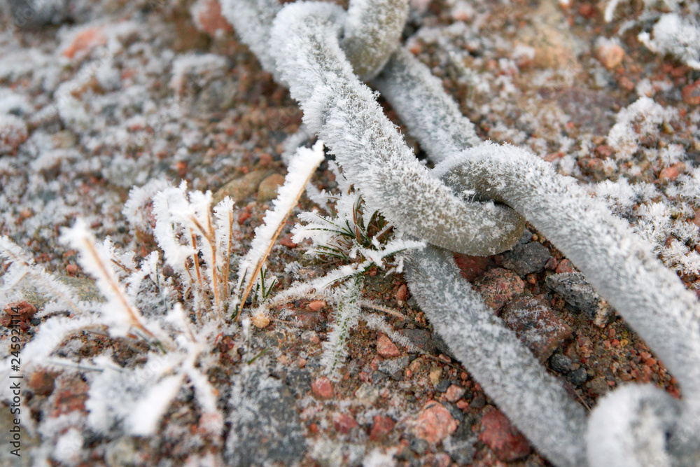 living and inanimate nature Stock Photo | Adobe Stock