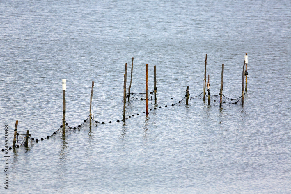 fish trap called a pound net along Patuxent River, Maryland, USA fish trap called a pound net along Patuxent River, Maryland, USA
