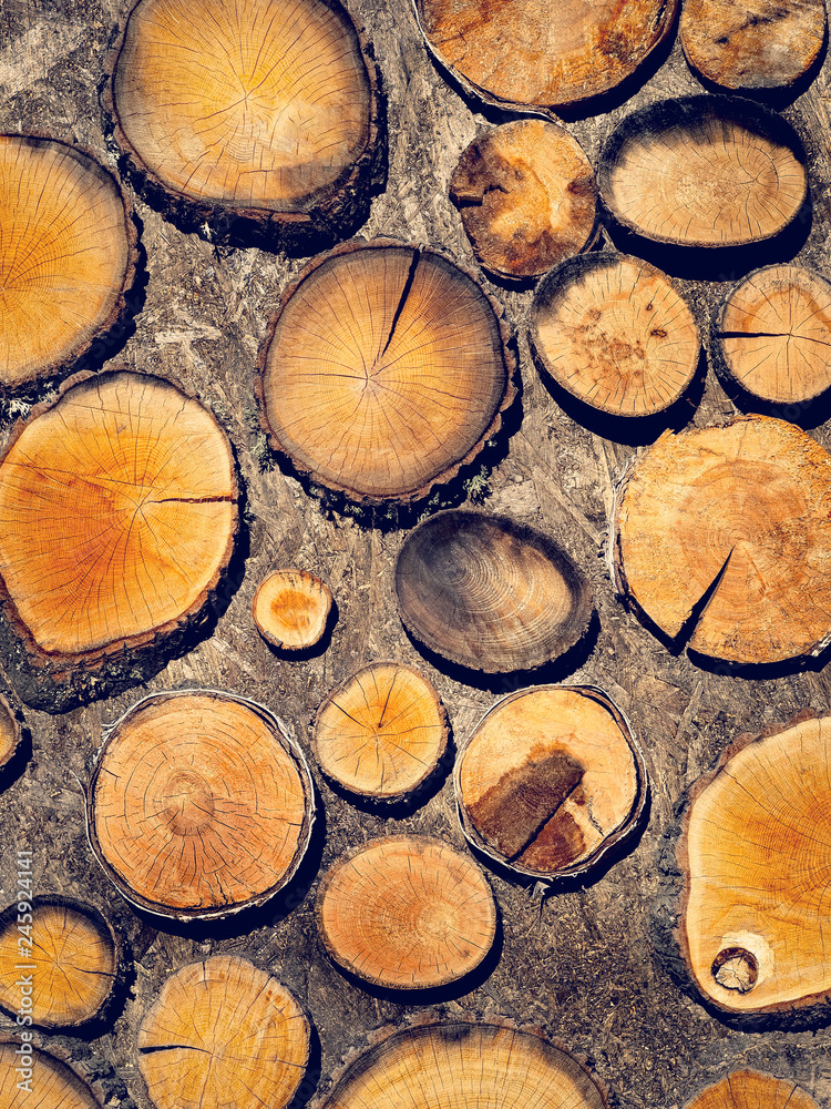 Wooden background with round slices of lumber. Wooden background with round slices of lumber.