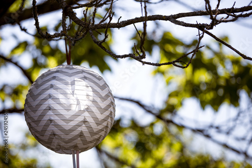Japanese lantern hanging in trees at a festive reception photo