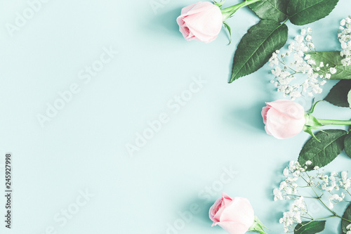 Flowers composition. Rose and gypsophila flowers on pastel blue background. Valentines day, mothers day, womens day concept. Flat lay, top view, copy space