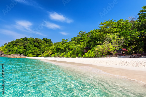 Coconut palm trees against blue sky and beautiful beach © preto_perola