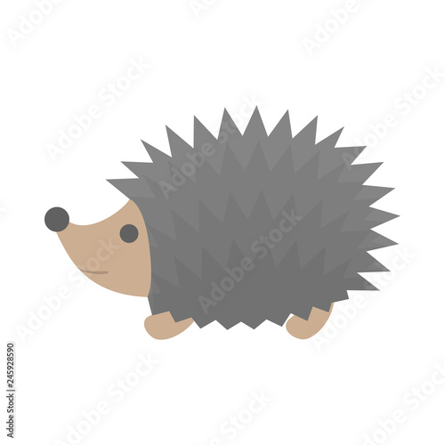 Cute little hedgehog. Animal with the prickle