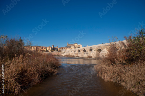 puente romano de la ciudad de Córdoba, España © Antonio ciero