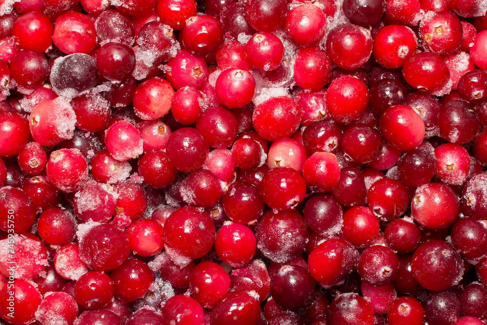 Lots of frozen cranberries. background, texture of berries. Abstract background for design or project. Lots of frozen cranberries. background, texture of berries. Abstract background for design or project.