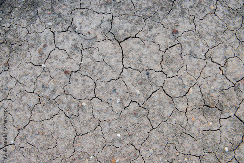Drought, the ground cracks, no hot water, lack of moisture. Dried and Cracked ground,Cracked surface,Dry soil in arid areas