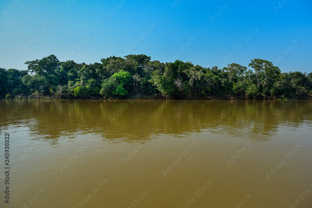 Amazonas landscape, Pantanal, Brazil