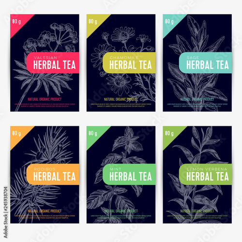 Beautiful vector hand herbal tea card set. 