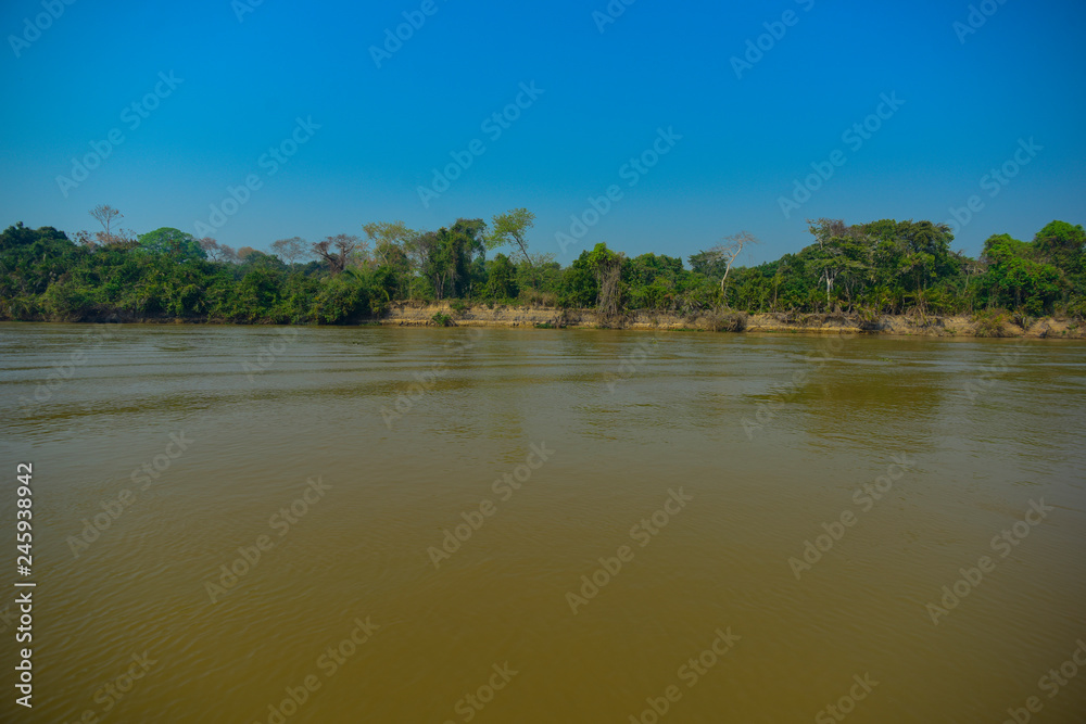 Amazonas landscape, Pantanal, Brazil Amazonas landscape, Pantanal, Brazil