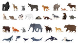 Animal set. Collection of exotic and wild animals