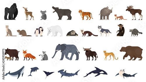 Animal set. Collection of exotic and wild animals