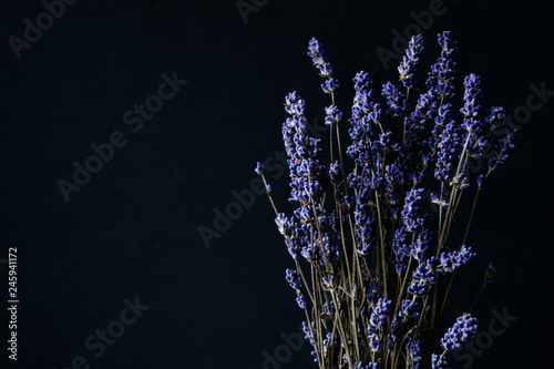 Lavender flowers background, free space 