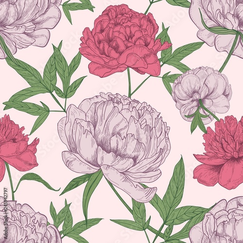 Floral seamless pattern with beautiful peony flowers hand drawn on light background