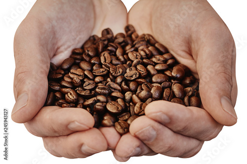 Hands holding coffee beans isolated over white background