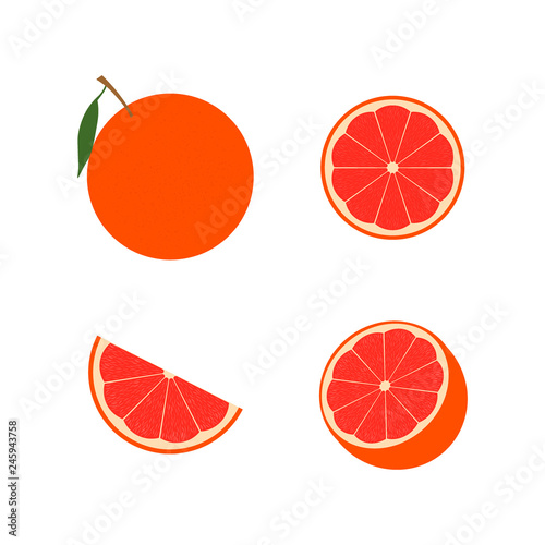 Fresh red grapefruit vector illustration