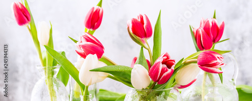 Fototapeta Naklejka Na Ścianę i Meble -  Pink and white tulips in glass vases on the light gray background. A gift for woman's day. Greeting card for mother's day. Banner.