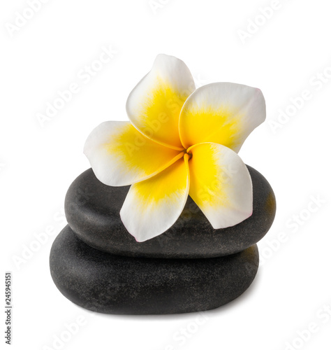 Frangipani  on zen pebbles