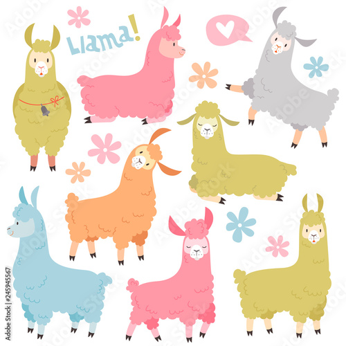 Cute llama set. Baby llamas alpaca, wild lama. Peru camel girl invitation elements cartoon vector set