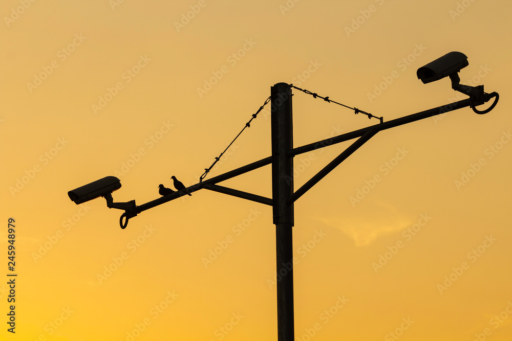 The image of the Siluette of birds perched on CCTV camera pole. The image of the Siluette of birds perched on CCTV camera pole.