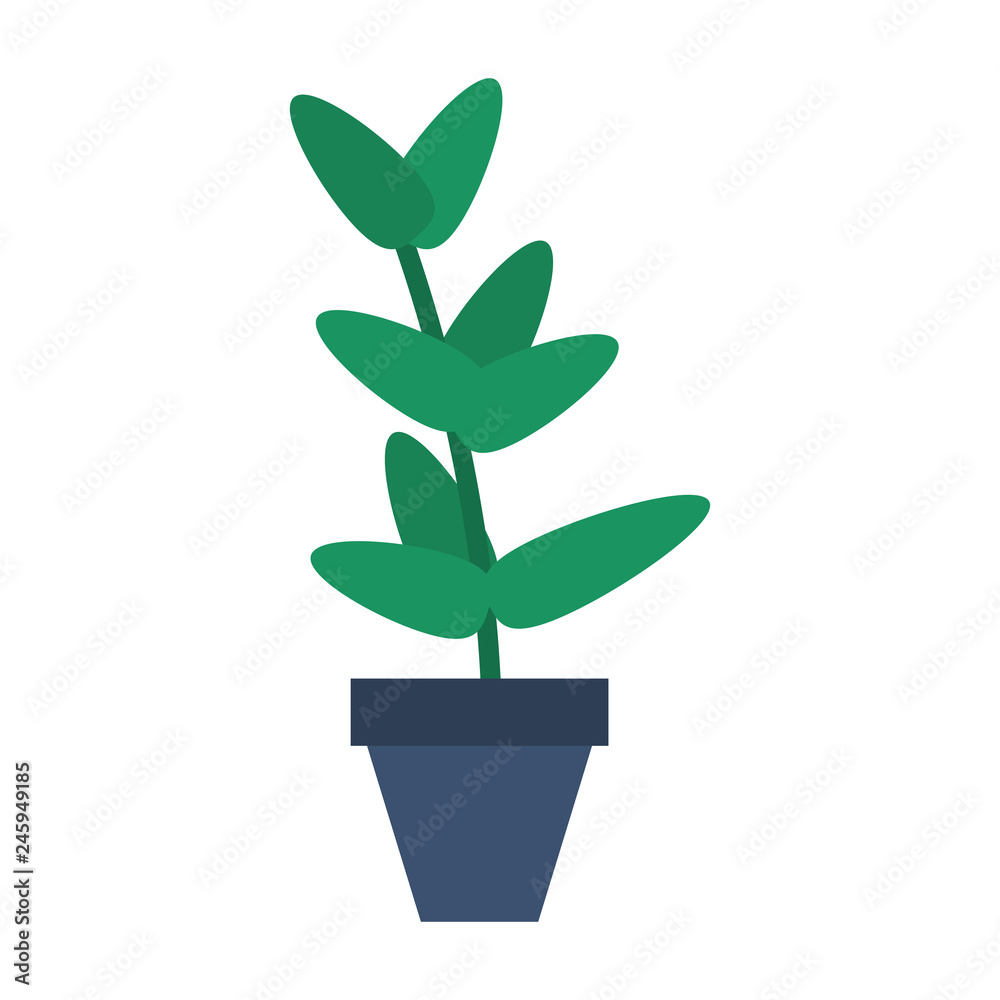 plant pot isolated