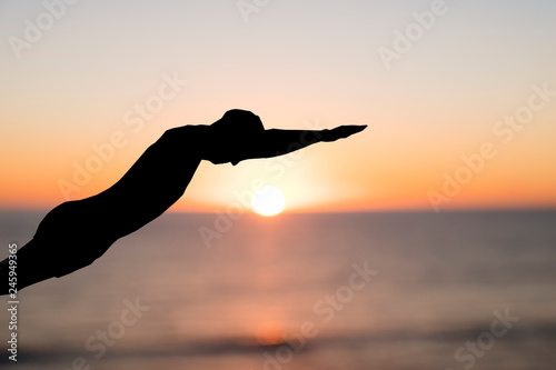 silhouette of a man throwing himself into the sea.