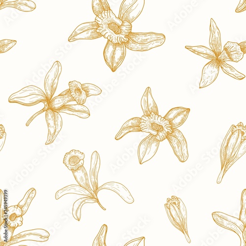 Monochrome seamless pattern with blooming vanilla flowers drawn with contour lines on light background. Floral backdrop with blossom of exotic plant. Elegant vector illustration for wrapping paper.