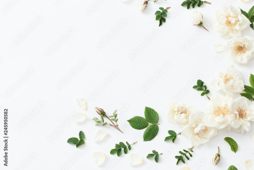 Fototapeta premium roses on white background