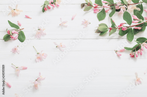 branches of bush with pink flowers on wooden background