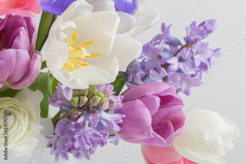 beautiful sprinf flowers on white background photo