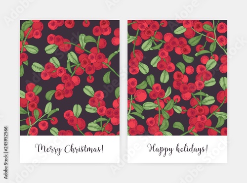 Set of greeting card or postcard templates decorated with lingonberry sprigs hand drawn on black background. Bundle of holiday flyers with ripe boreal berries and leaves. Natural vector illustration.