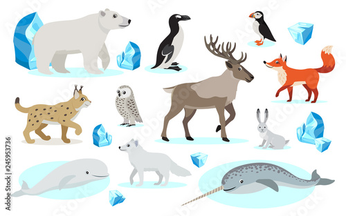 Set of polar animals icons, isolated on white background, lynx, polar bear and owl, mountain hare, red and Arctic fox, great auk, Atlantic puffin, narwhal, reindeer caribou, vector illustration