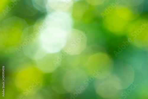 Light bokeh blurred background