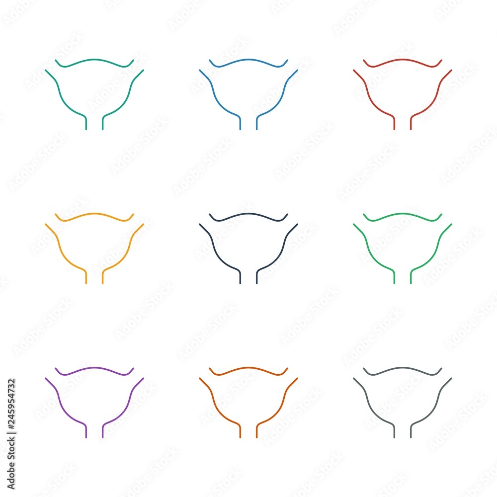 bladder icon white background bladder icon white background
