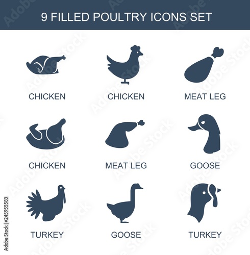 poultry icons