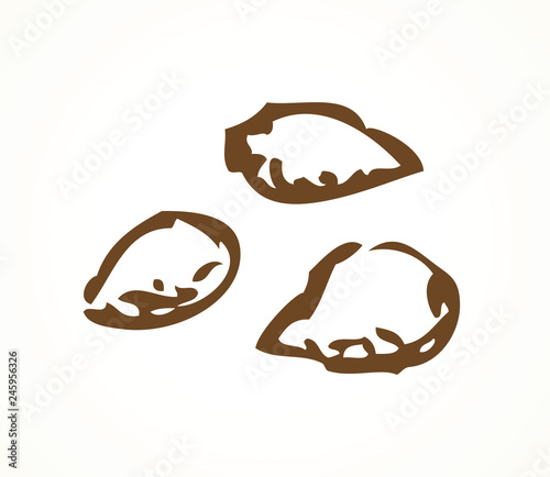 Series of vector illustrations of archaeological finds. Remains of linen, fruit stones and seeds