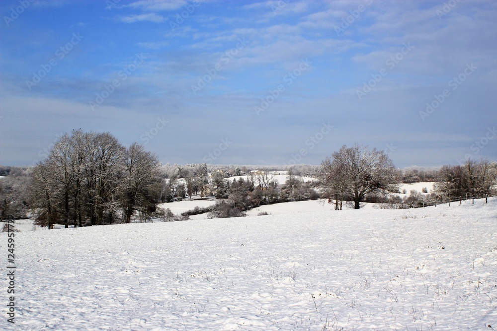 Fototapeta premium paysage en hiver.