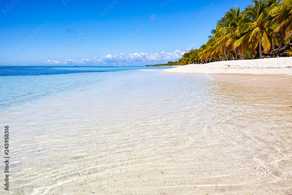 Leerer Traumstrand auf Saona von der dominkanischen republik