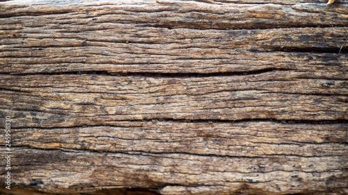 Surface of wood dark colors and old with beautiful natural patterns. Concept Background/Textures.